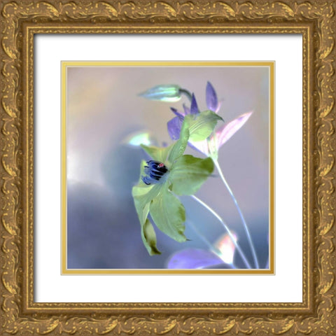 Floral Color - 9 Gold Ornate Wood Framed Art Print with Double Matting by Blaustein, Alan