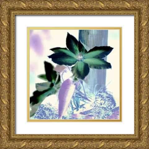 Floral Color - 10 Gold Ornate Wood Framed Art Print with Double Matting by Blaustein, Alan