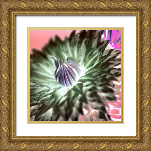 Floral Color - 11 Gold Ornate Wood Framed Art Print with Double Matting by Blaustein, Alan