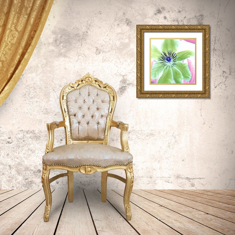 Floral Color- 12 Gold Ornate Wood Framed Art Print with Double Matting by Blaustein, Alan