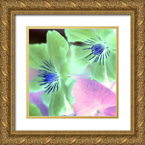 Floral Color - 13 Gold Ornate Wood Framed Art Print with Double Matting by Blaustein, Alan
