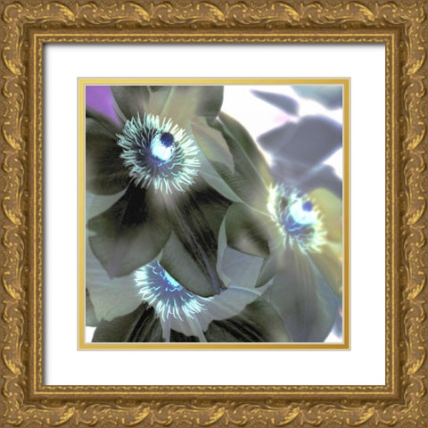 Floral Color - 14 Gold Ornate Wood Framed Art Print with Double Matting by Blaustein, Alan