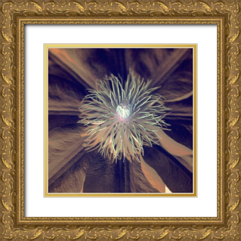 Floral Color - 15 Gold Ornate Wood Framed Art Print with Double Matting by Blaustein, Alan