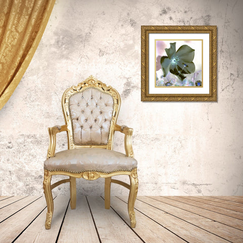 Floral Color - 16 Gold Ornate Wood Framed Art Print with Double Matting by Blaustein, Alan