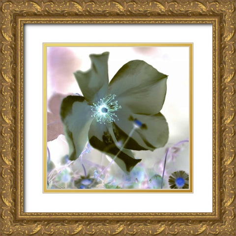 Floral Color - 16 Gold Ornate Wood Framed Art Print with Double Matting by Blaustein, Alan