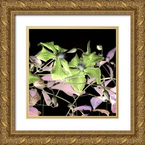 Floral Color - 17 Gold Ornate Wood Framed Art Print with Double Matting by Blaustein, Alan