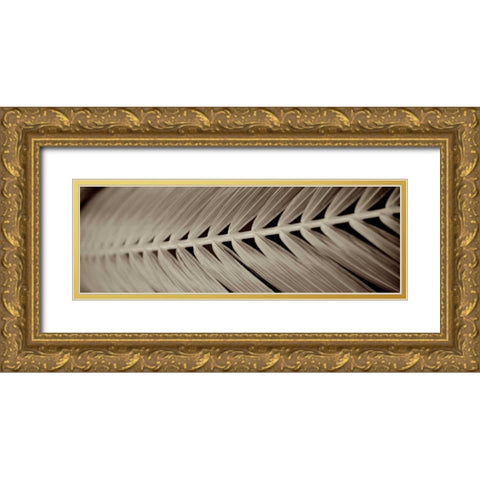 Florison - 99 Gold Ornate Wood Framed Art Print with Double Matting by Blaustein, Alan