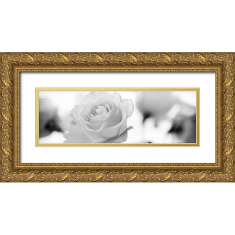 Florison - 102 Gold Ornate Wood Framed Art Print with Double Matting by Blaustein, Alan