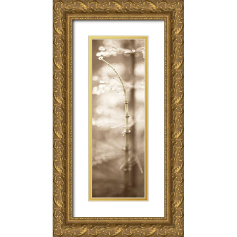 Florison - 94 Gold Ornate Wood Framed Art Print with Double Matting by Blaustein, Alan