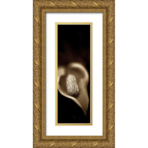 Florison - 96 Gold Ornate Wood Framed Art Print with Double Matting by Blaustein, Alan