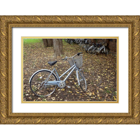 Japan Bicycle - 10 Gold Ornate Wood Framed Art Print with Double Matting by Blaustein, Alan