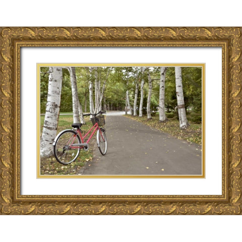Japan Bicycle - 18 Gold Ornate Wood Framed Art Print with Double Matting by Blaustein, Alan