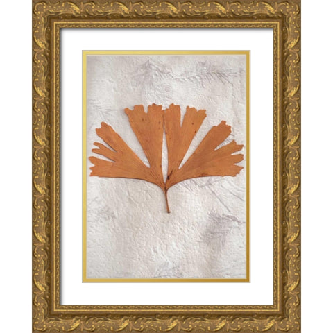 Floral - 30 Gold Ornate Wood Framed Art Print with Double Matting by Blaustein, Alan