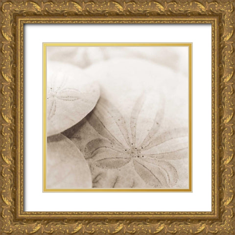 Atlantis 2 Gold Ornate Wood Framed Art Print with Double Matting by Blaustein, Alan