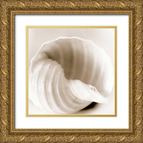 Atlantis 4 Gold Ornate Wood Framed Art Print with Double Matting by Blaustein, Alan