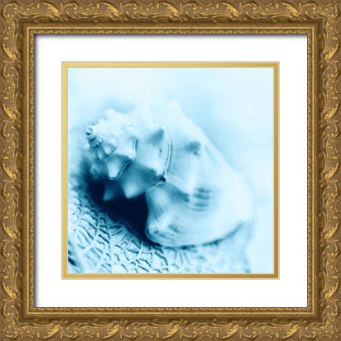 Nautica No4 Gold Ornate Wood Framed Art Print with Double Matting by Blaustein, Alan