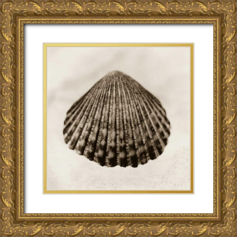 La Playa No1 Gold Ornate Wood Framed Art Print with Double Matting by Blaustein, Alan