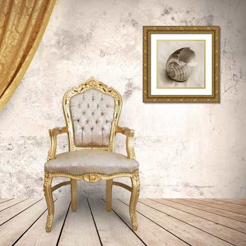 La Playa No3 Gold Ornate Wood Framed Art Print with Double Matting by Blaustein, Alan