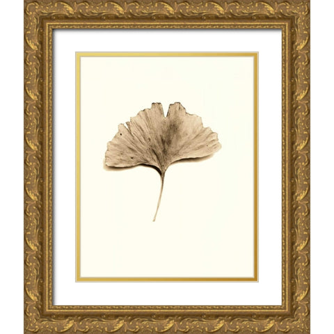 Ginkgo Leaf Gold Ornate Wood Framed Art Print with Double Matting by Blaustein, Alan