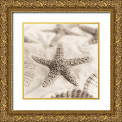 La Mer 2 Gold Ornate Wood Framed Art Print with Double Matting by Blaustein, Alan