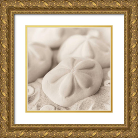 La Mer 4 Gold Ornate Wood Framed Art Print with Double Matting by Blaustein, Alan