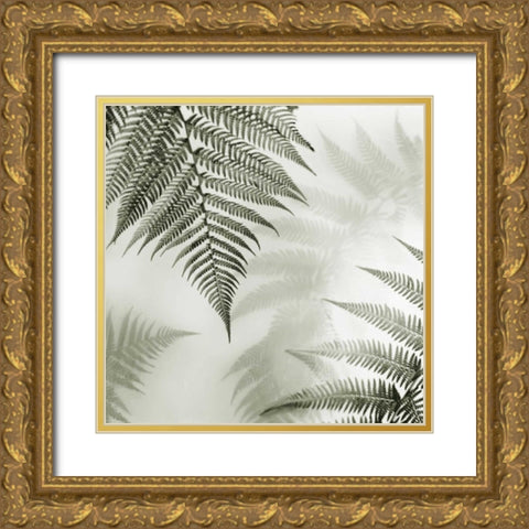 Ferns No. 1 Gold Ornate Wood Framed Art Print with Double Matting by Blaustein, Alan