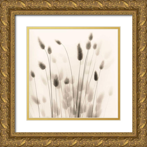Italian Tall Grass No. 1 Gold Ornate Wood Framed Art Print with Double Matting by Blaustein, Alan