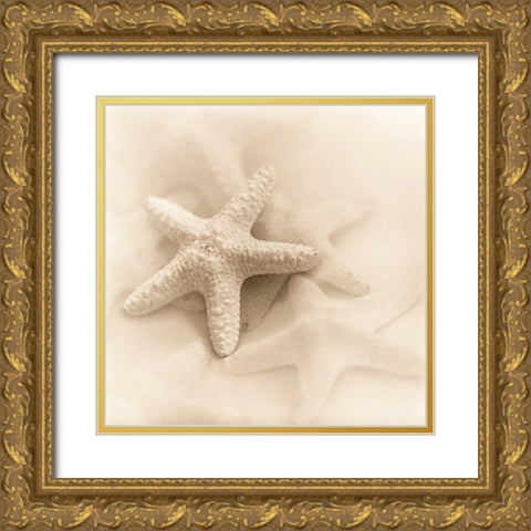 Il Oceano No. 1 Gold Ornate Wood Framed Art Print with Double Matting by Blaustein, Alan