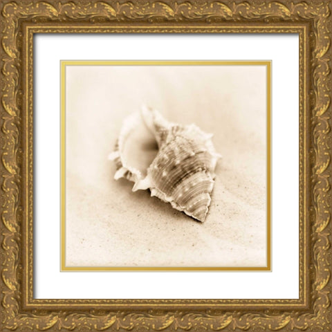 Il Oceano No. 3 Gold Ornate Wood Framed Art Print with Double Matting by Blaustein, Alan