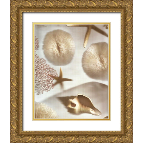 Nautical Illuminations No.1 Gold Ornate Wood Framed Art Print with Double Matting by Blaustein, Alan