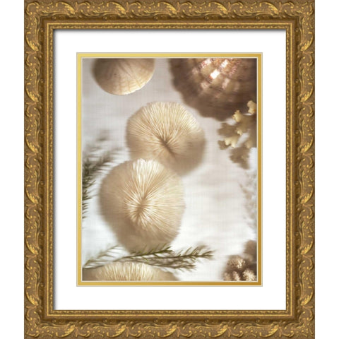 Nautical Illuminations No.2 Gold Ornate Wood Framed Art Print with Double Matting by Blaustein, Alan