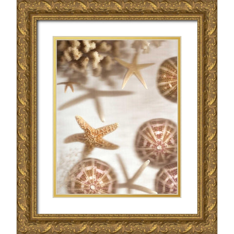 Nautical Illuminations No.3 Gold Ornate Wood Framed Art Print with Double Matting by Blaustein, Alan