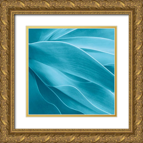 Succulent Gold Ornate Wood Framed Art Print with Double Matting by Bell, Jan