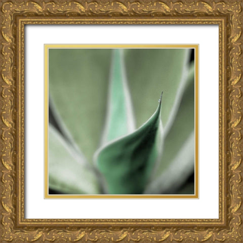 Agave #5 Gold Ornate Wood Framed Art Print with Double Matting by Blaustein, Alan