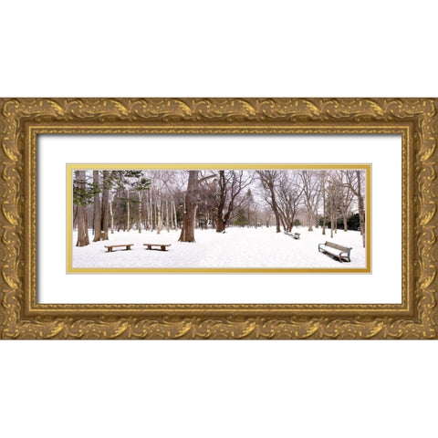 Hokkaido 11 Gold Ornate Wood Framed Art Print with Double Matting by Blaustein, Alan