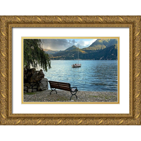 Lago Banco #1 Gold Ornate Wood Framed Art Print with Double Matting by Blaustein, Alan