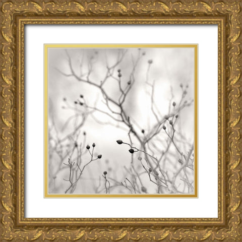 Winter Berries Gold Ornate Wood Framed Art Print with Double Matting by Bell, Nicholas