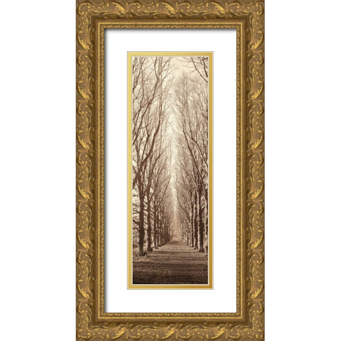 Poplar Trees Gold Ornate Wood Framed Art Print with Double Matting by Blaustein, Alan