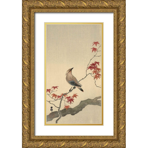 Japanese Waxwing on Maple, 1900-1936 Gold Ornate Wood Framed Art Print with Double Matting by Koson, Ohara