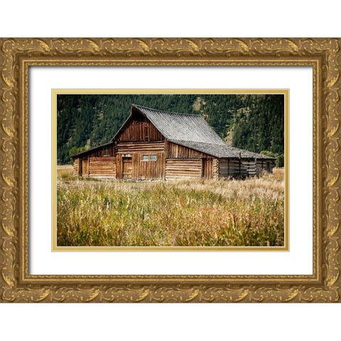 Teton Barn Gold Ornate Wood Framed Art Print with Double Matting by Oldford, Tim