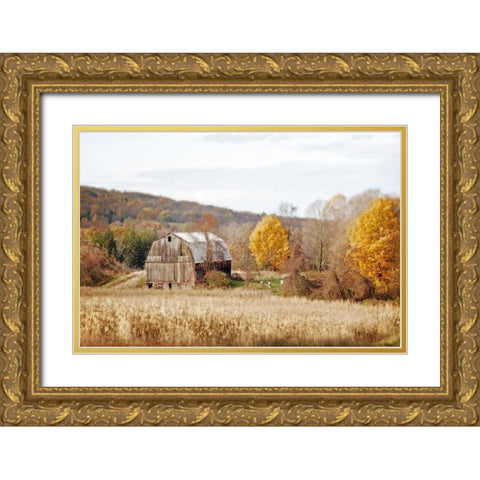 Barn And Beehives Gold Ornate Wood Framed Art Print with Double Matting by Ryan, Brooke T.