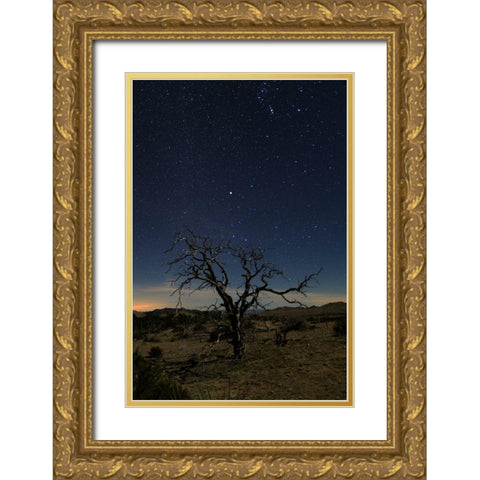 Mohave at Night No. 1 Gold Ornate Wood Framed Art Print with Double Matting by Severn, Shawn/Corinne