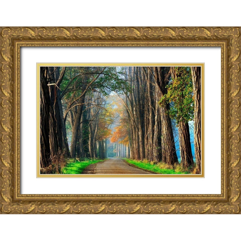 Acacias in Autumn Gold Ornate Wood Framed Art Print with Double Matting by Van de Goor, Lars