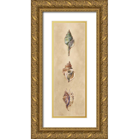 Seashells Panel I Gold Ornate Wood Framed Art Print with Double Matting by Loreth, Lanie