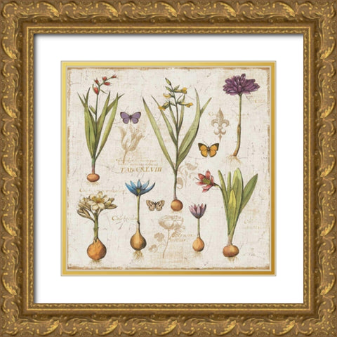 Histoire Naturelle V Gold Ornate Wood Framed Art Print with Double Matting by ERR, Pela