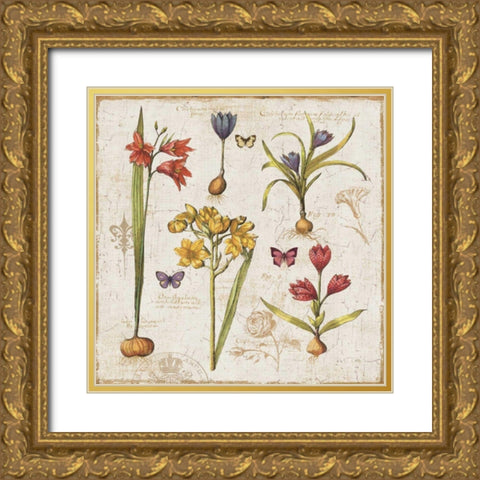 Histoire Naturelle VI Gold Ornate Wood Framed Art Print with Double Matting by ERR, Pela