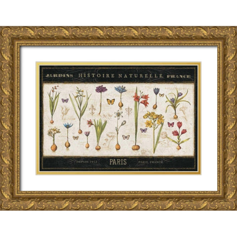 Histoire Naturelle I Gold Ornate Wood Framed Art Print with Double Matting by ERR, Pela