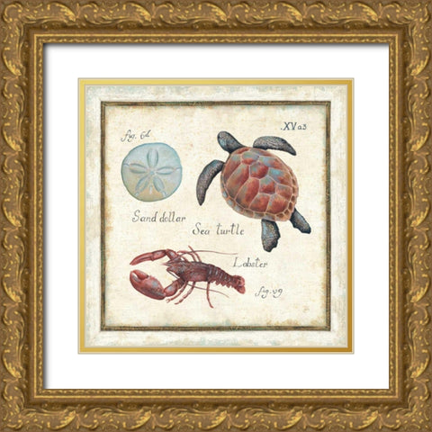 Oceanography II Gold Ornate Wood Framed Art Print with Double Matting by Brissonnet, Daphne