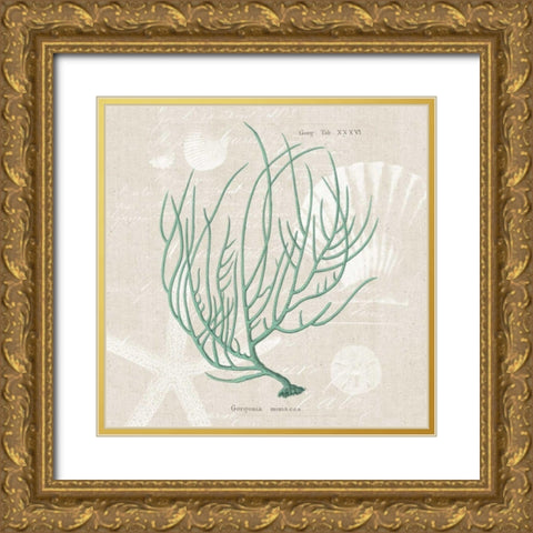 Gorgonia Miniacea Gold Ornate Wood Framed Art Print with Double Matting by Wild Apple Portfolio