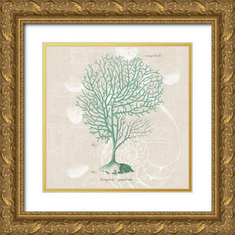 Gorgonia Granulata Gold Ornate Wood Framed Art Print with Double Matting by Wild Apple Portfolio